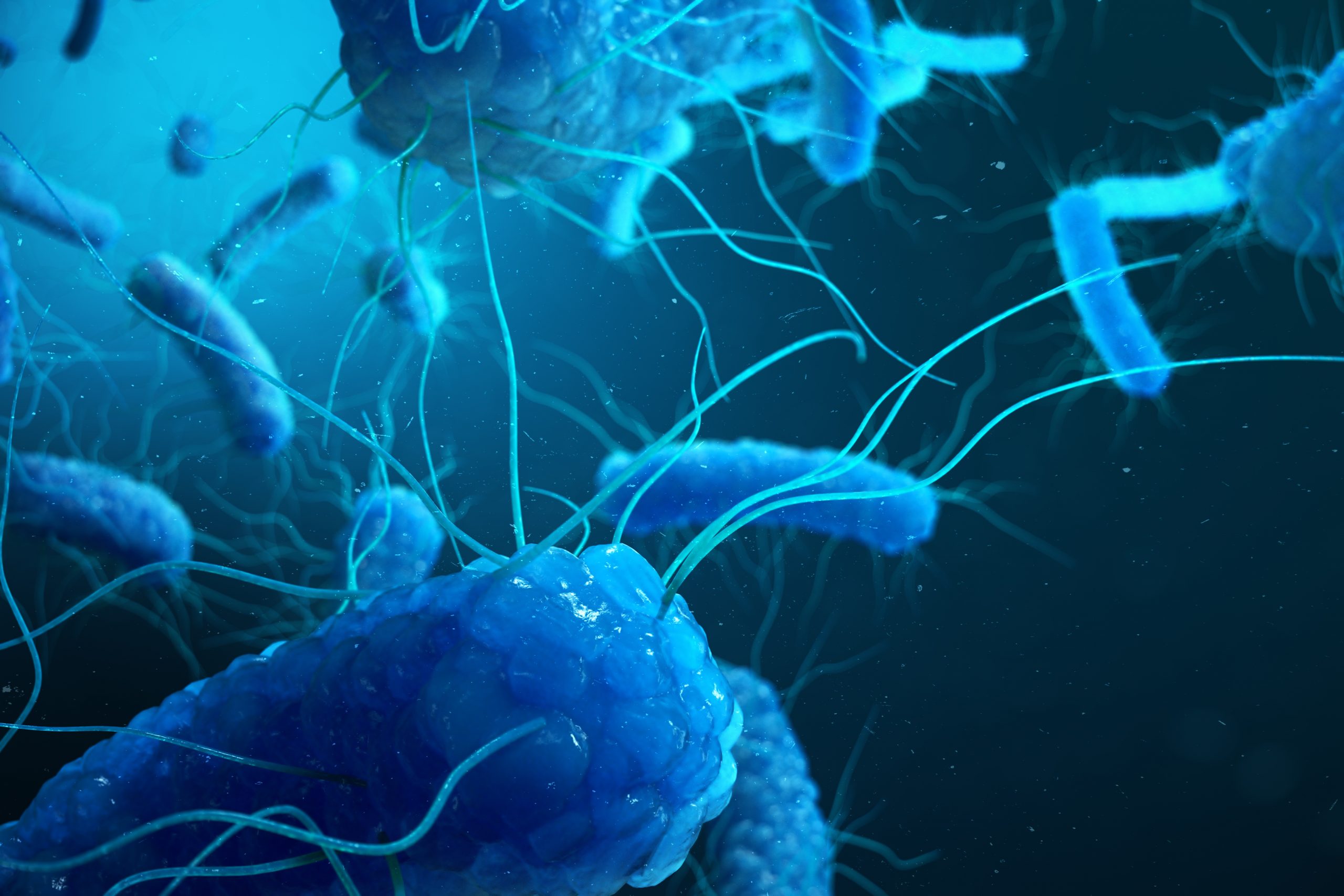 EL PARADIGMA DE SALMONELLA Resistencias antimicrobianas One HealthIn