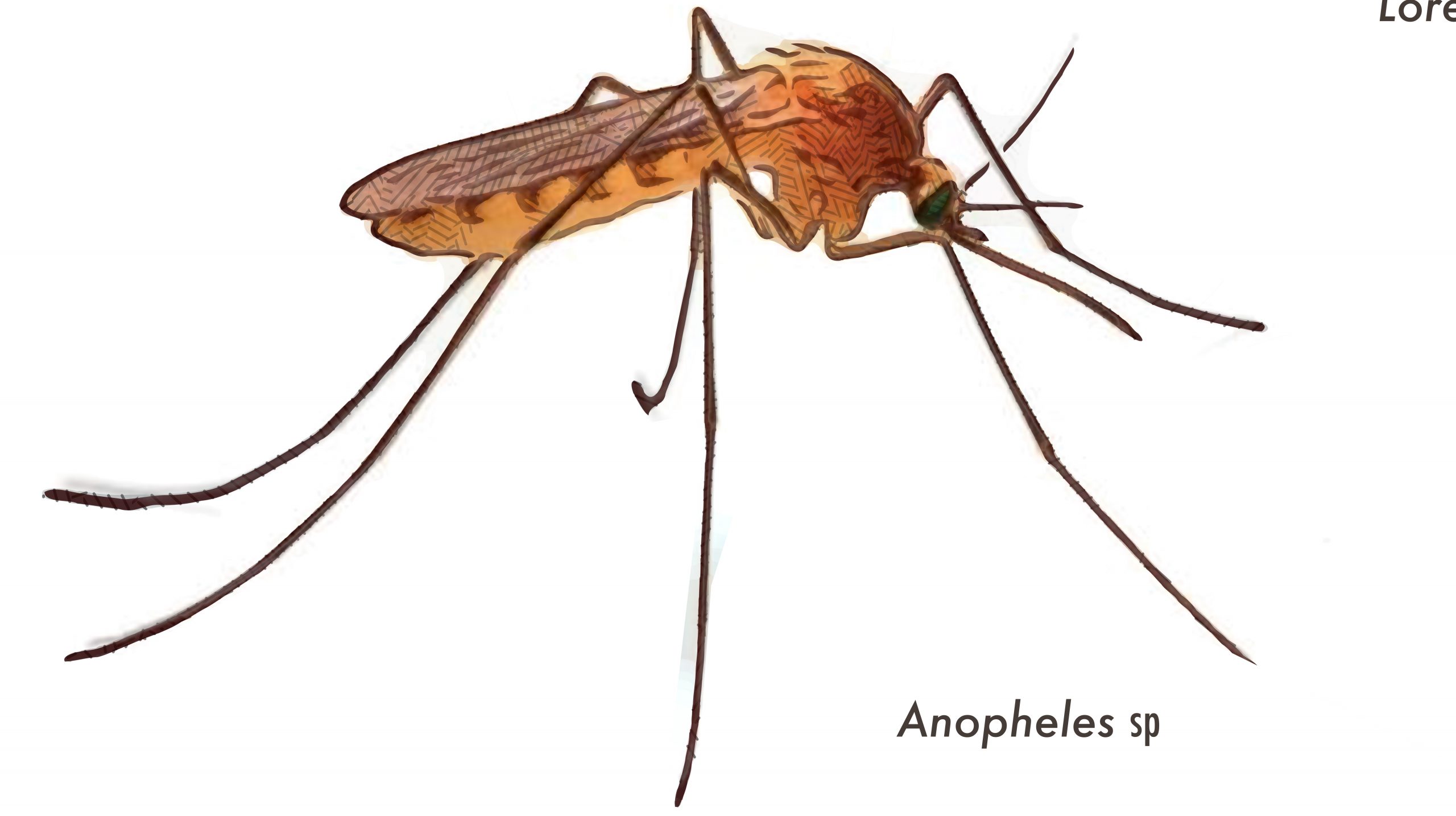 ARBOVIRUS Y PARÁSITOS TRANSMITIDOS POR MOSQUITOS Y OTROS DÍPTEROS HEMATÓFAGOS