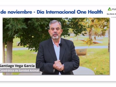 El 3 de noviembre celebramos el Día Mundial One Health.
