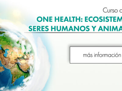 El enfoque «One Health» protagoniza un curso online de vanguardia para profesionales de la salud, el medio ambiente y la alimentación