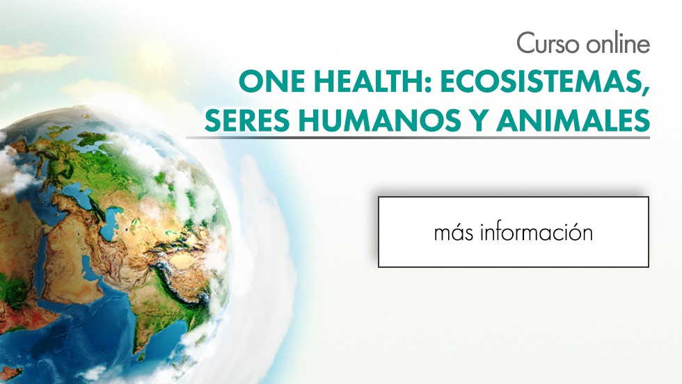 El enfoque «One Health» protagoniza un curso online de vanguardia para profesionales de la salud, el medio ambiente y la alimentación